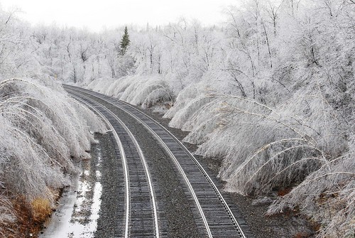 Trees bent by the weight of ice from a winter storm line railroad tracks in Hinsdale, Mass.